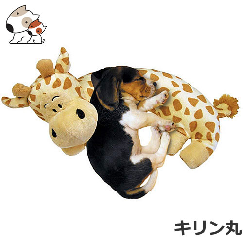 �ɥ����ޥ�ϥ䥷 ���˥ޥ��̲�ޤ��� �ɥ�������� �̤������ ���å����