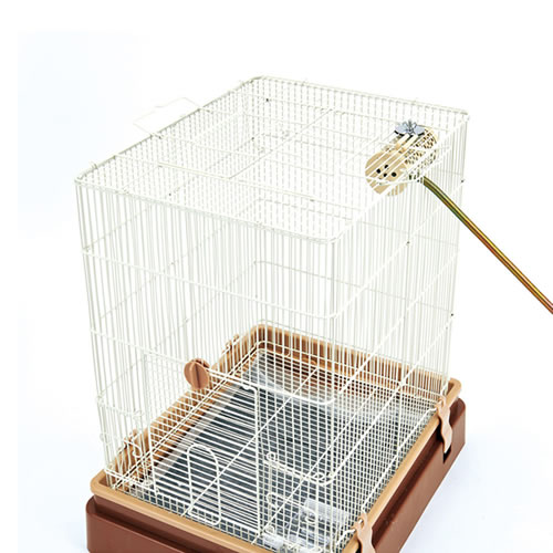 マルカン CASA ヒートランプ 20W 本体...の紹介画像3