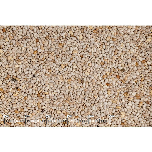 ペッツマムの【メール便】5個セット 黒瀬ペットフード 自然派宣言 チアシード 30g×5個セット 鳥 おやつ 送料無料｜アングル3