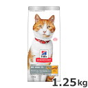 qY TCGXE_CGbg DE`6 L `LiDELpj 1.25kg Lbgt[h hC