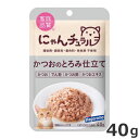 ★【今月のお買い得商品】はごろもフーズ にゃんチュラル パウチ かつおのとろみ仕立て 40g キャットフード パウチ