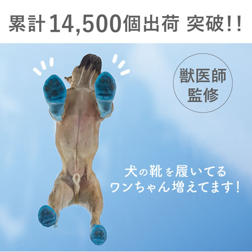 ピカコーポレイション ペットアドバンス 犬用オールシーズンブーツ パウテクト Sサ...