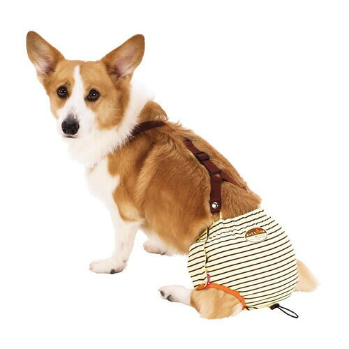 ペッツマムのペティオ zuttone ずっとね 老犬介護用 おむつパンツK Lサイズ 中型犬｜アングル2