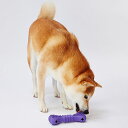 ペティオ TREATS LOVER ボーン M 犬用おもちゃ デンタル 知育 3