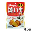 藤沢商事 フジサワほっくり焼いも 45g 国産 犬用おやつ