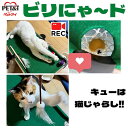 ペットアイ 猫ちゃんのおもちゃ ビリにゃ～ド ビリヤード台 ビリヤード 猫おもちゃ 猫ベッド 猫ソファ 2