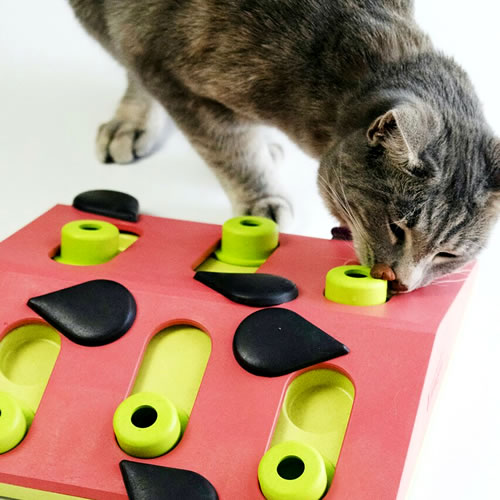 ペッツマムのダッドウェイ Nina Ottosson トリーツゲーム ウォーターメロン 知育 猫おもちゃ スイカ｜アングル2