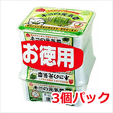 原材料えんむぎ商品サイズ150×140×140mm内容量3個パック原産国日本メーカーヤマヒサペットケア事業部・猫・犬用の新鮮生野菜。・飲み込んだ毛を吐き出させ、胃を守ります。培養土が抜けにくい容器を使用しています。・便利な3コパック。猫・犬両方にお使いになれます。