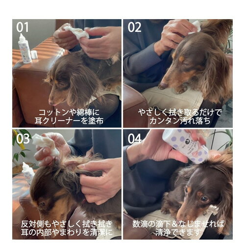 O��R��P����Х��Х륦�������� ����к��μ����꡼�ʡ� �� ����