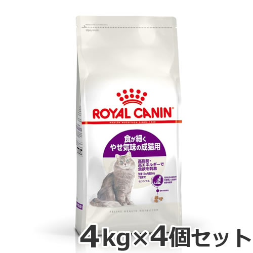4ĥå 륫ʥ 󥷥֥ʿ٤ǭѥա ǭѡ4kg4ĥå