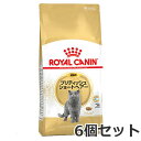 6個セット ロイヤルカナン ブリティッシュ ショートヘアー 成猫用 2kg×6個セット