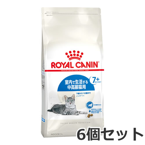 6ĥå 륫ʥ ɥ 7+ʼ褹7аʾǭѥա ǭѡ1.5kg6ĥå