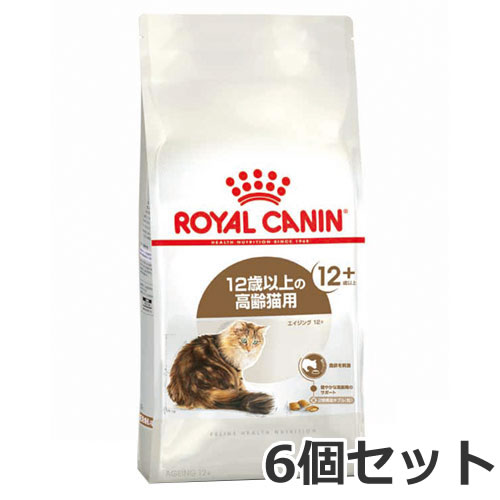 6ĥå 륫ʥ  12+12аʾǭѥա ǭѡ2kg6ĥå