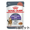 【メール便】6個セット ロイヤルカナン FCN-WET アペタイト コントロール おねだりの多い成猫用 ウェット 85g×6個セット 送料無料