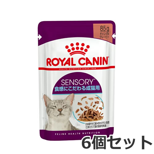 6個セット ロイヤルカナン センサリーフィール 食感にこだわる成猫用（生後12カ月齢以上） ウェット パウチ 85g×6個セット 送料無料