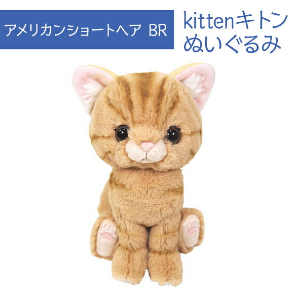 Kitten キトン アメリカンショートヘア BR ぬいぐるみ オーナーグッズ ペット用品 猫用品