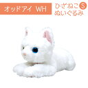 ひざねこ S オッドアイ ホワイト WH ぬいぐるみ ペット用品 猫 オーナーグッズ