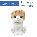 ぬいぐるみ（ペット用） Kitten キトン スコティッシュフォールド BR ぬいぐるみ ペット用品 猫用品 オーナーグッズ