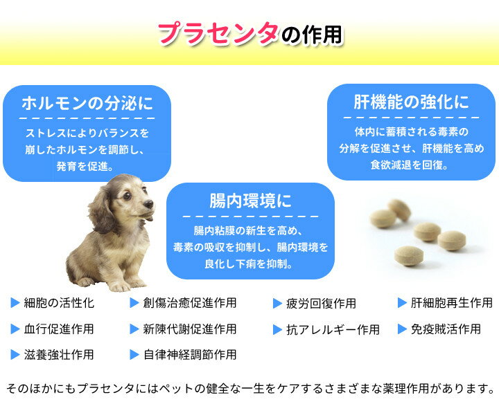 楽天市場 ポスト投函限定 代引不可 Placenta プラセンタ 錠 ペット サプリ 犬 猫 小動物 サプリメント ペット ペット用品 犬用品 猫用品 猫 ウサギ みんな笑顔