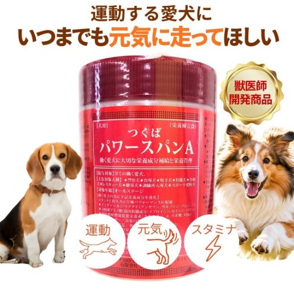 【P5倍】【賞味期限2027.6.17】つくば パワースパンA 240g 犬用 アジリティ ドッグスポーツ　フリスビー 山登り アウトドア 　活力 スタミナ 持久力 元気 アスクジャパン