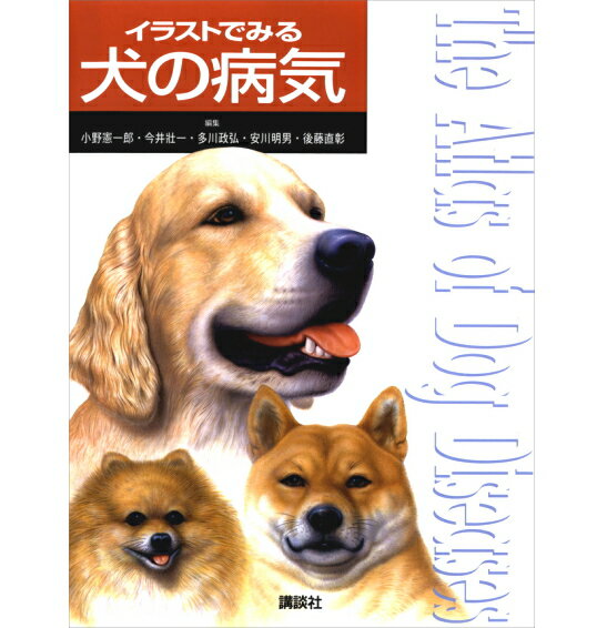 【ポスト投函】イラストでみる犬の病気 オールカラーの写真とイラストでわかりやすい Kod 書籍 本 ペット用品 犬用品