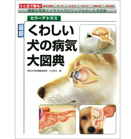 【ポスト投函】最新 くわしい犬の病気大図典 カラーアトラス sb 本 書籍 ペット 犬