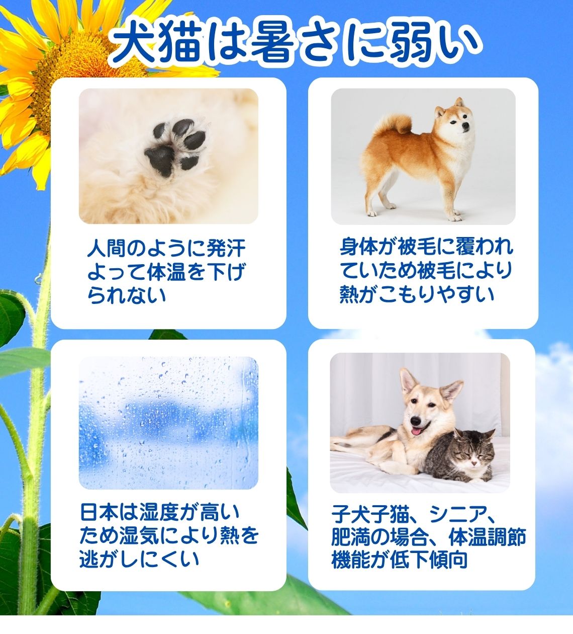 サンプル画像2