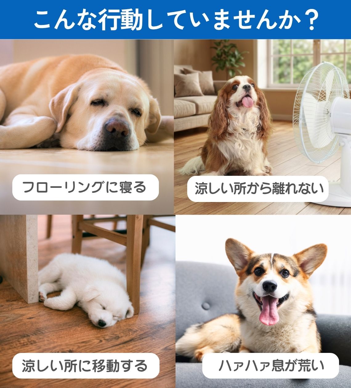 サンプル画像3