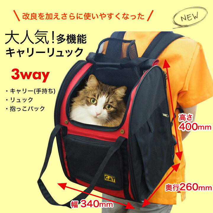 ��P10�ܡ�ǭ�� ���å� 3WAY���å�������å� ����������꡼ ǭ ����꡼���å� ���å� ����꡼ �ڥå� 10kg �ޤꤿ���� ���� ������� ������ ǭ �ҳ� ���� ι�� �ż� �±�