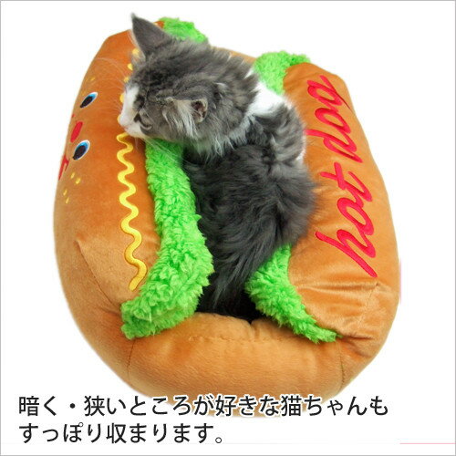 ����饯�������ɥ顼 �ۥåȥɥå� S ��ǭ�� �٥å� �� ǭ �ڥå� �ݥ�ݥ꡼�� Ķ������ ������