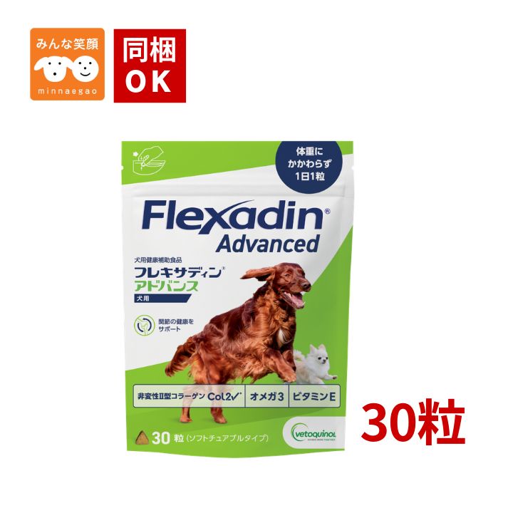 楽天市場】フレキ サ ディン アドバンスの通販