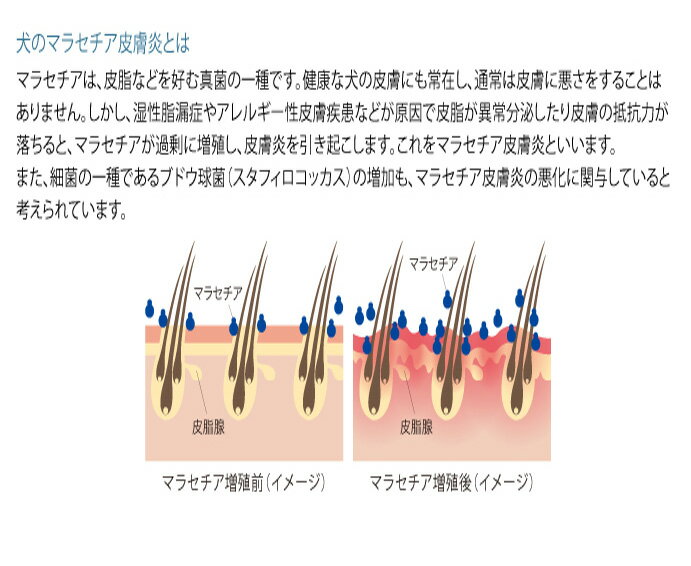 �ڻ��Ѵ���2027.8��ۡ�2�ܡ۹� �ޥ饻���奢 �����ס� ���� 250ml �� 2�� �ޥ饻��������� ưʪ�Ѱ�����