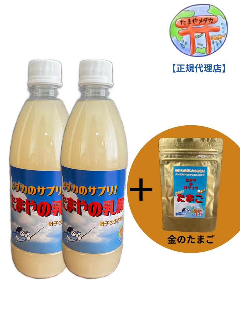 たまやの乳酸菌 500ml 2本＋「金のたまご」セット めだか メダカ 餌 エサ 観賞魚 針子 ハリコ ミドリムシ PSB グリーンウォーター たまやメダカ