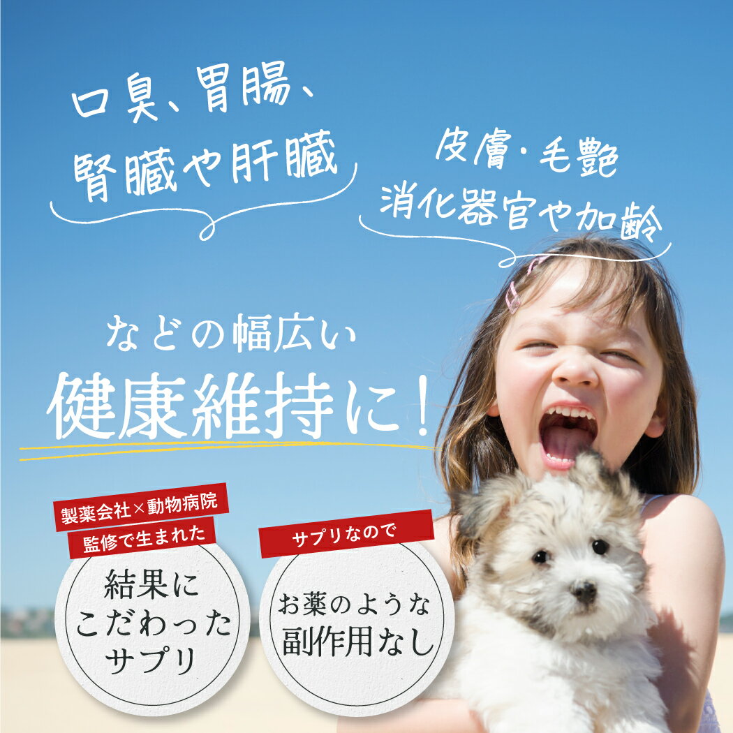 【ポイント5倍】 CiNAG（シナジー）60g ペットサプリ 犬用 猫用 サプリメント 免疫力 免疫 エイジングケア 老犬 老猫 シニア ネコ イヌ ペット ペット用 サッカロマイセス ビタミンC 葉酸 口臭 胃腸 腎臓 肝臓 肥満 食欲 消化器官 加齢 腸内 タウリン 酵素