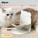 磁石付きセラミック製ペット用食器 分体式デザイン 角度&高さ調節可能 首の負担軽減 丸洗い 滑り止め 食事姿勢最適 小型犬 子猫 シニア猫 マンチカン ペルシャ猫対応 耐久性抜群 高級感 汚れにくい 衛生 安心安全