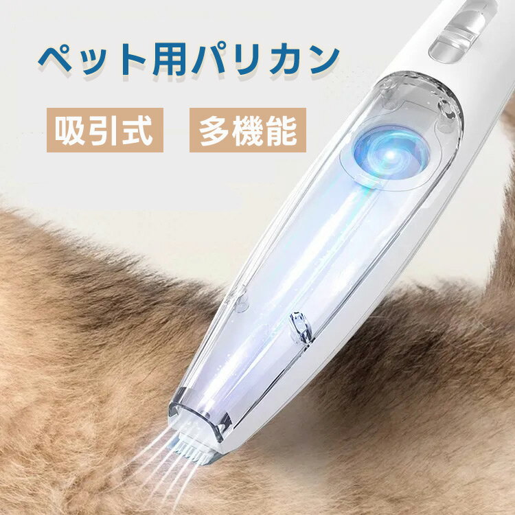 Хꥫ  ڥå Хꥫ LED饤դ  ǭ ۰  ǭ ƴ ưХꥫ   ż Хꥫ ...
