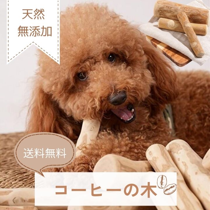 【送料無料】天然素材 ナチュラル【100%天然コーヒー木】小型犬 小犬 DOGガム 犬ガム ガム がむ デンタルケア 犬おもちゃ 犬のおもちゃ ストレス解消 口臭対策 歯ブラシ 歯石取り 歯磨き しつけ いたずら防止 甘噛み防止 水洗い 長持ち コスパ 木 ウッド スティック