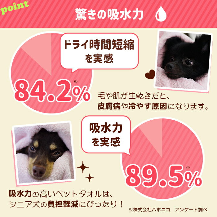 �ڥϥۥ˥��ۥڥåȥ����� �ɥ饤�ޥ������ե����С� �����롡�ۿ�