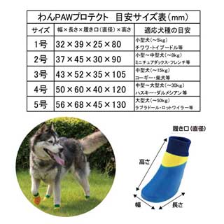 【Lange】わんPAWプロテクト ベーシック...の紹介画像3