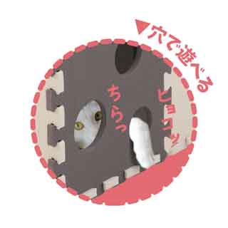 �ڥ����ӡ�����ѥ�ۥ˥��Ȥ��Ƥ⸦��������14����