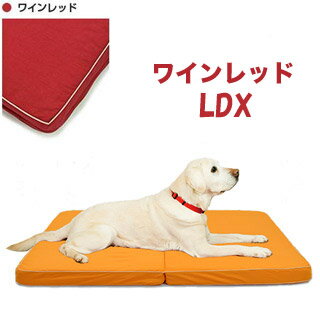 春バーゲン 特別送料無料 爽快潔リビング ドッグケアマット ワインレッド Ldx 上質風合い 2 犬用品 1 ペット ペットグッズ Fakepussyandass Com