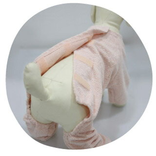 �ڤ��̤�ܡ۸� �ڥå� ����� ���С������� �Ѹ��� �β�Ĵ��3L