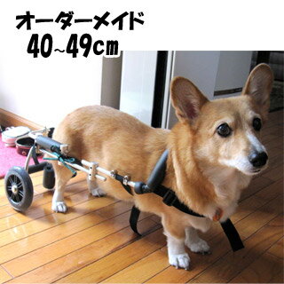 犬の車椅子 わんだふるウォーカー（オーダーメイド） 40cm〜49cm 中型犬・大型犬★送料無料★