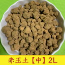 【2袋セット】赤玉土 硬質 中 4L (2L×2袋) 約2.8kg あかだまつち 基本土 コンパクト便 送料無料