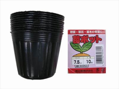 【渡辺泰】苗ポット(7.5cm) 色：黒/10個入 【M】