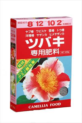 �ڥ��ߥΡ��벽�ظ����ۥĥХ�����(400g)/1�� ��M��