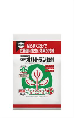 �ڽ�ͧ���ر�ݡ�GF����ȥ��γ��(1kg)/1�� ��M��