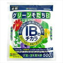 【花ごころ】グリーンそだちEX IBのチカラ(500g)/1個 【M】