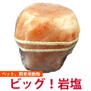 【4個セット】ペット アニマル用 【ビッグ】岩塩 BIG! 約4〜6kg(ロープ付) 1個 塩分 ミネラル補給 動物 犬 猫 馬 牛 ヒマラヤ アニマルソルト ...