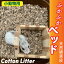 【20L】小動物　床材　敷材　ふかふかベッド　あったかマット　コットンリター 20L 天然綿実皮 純天然素材使用　保温 床材 ハムスター ラット うさぎ【DBP】